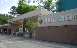 札幌市円山動物園1
