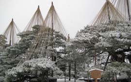 兼六園1
