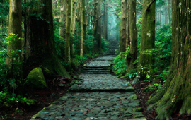 熊野古道1