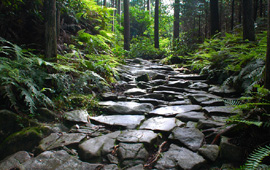 熊野古道2