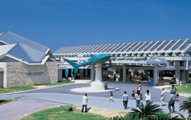 美ら海水族館1